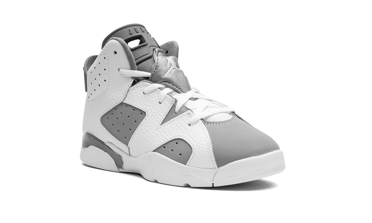Air Jordan 6 PS Cool Grey DV3605 100
