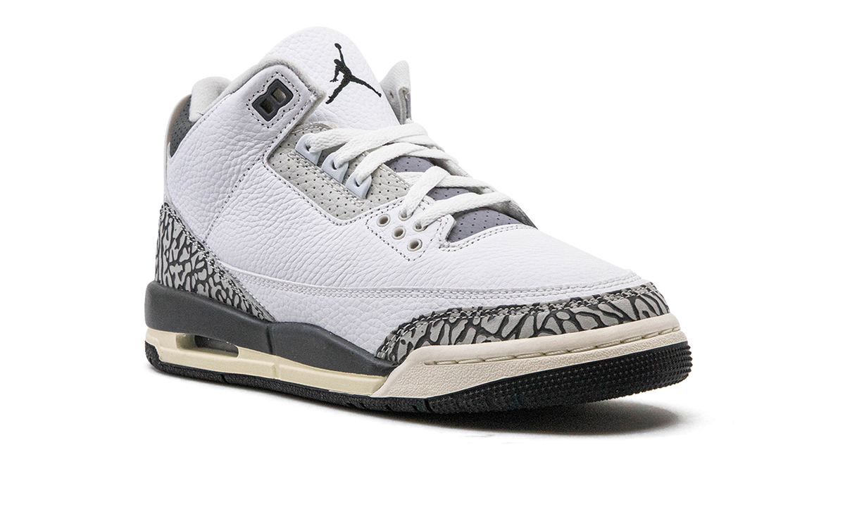 Air Jordan 3 GS Hide N Sneak DX6665 100