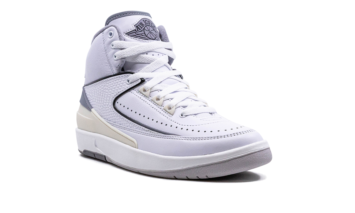 Air Jordan 2 GS Cement Grey DQ8562 100