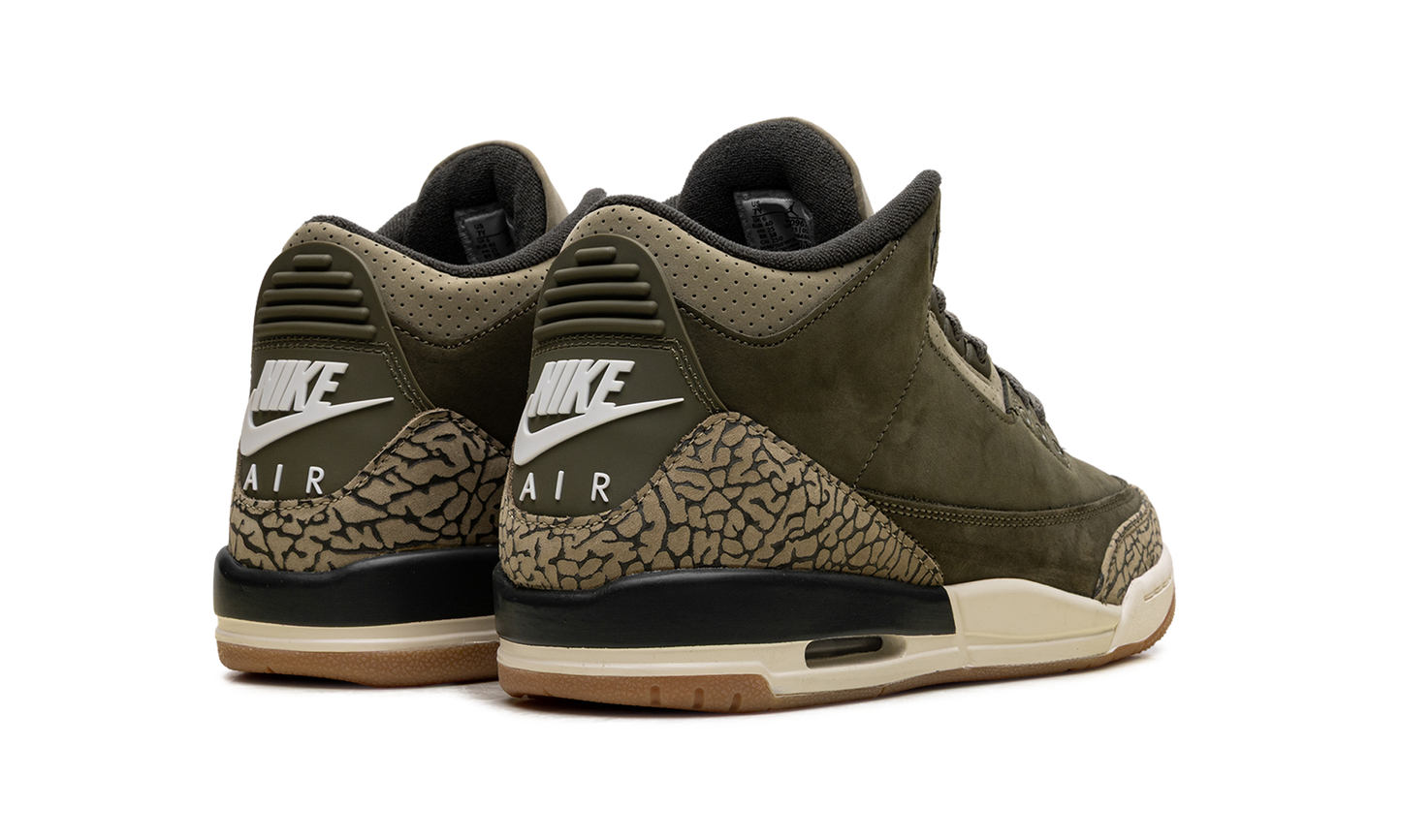 Air Jordan 3 GS Family Affair DM0967 202