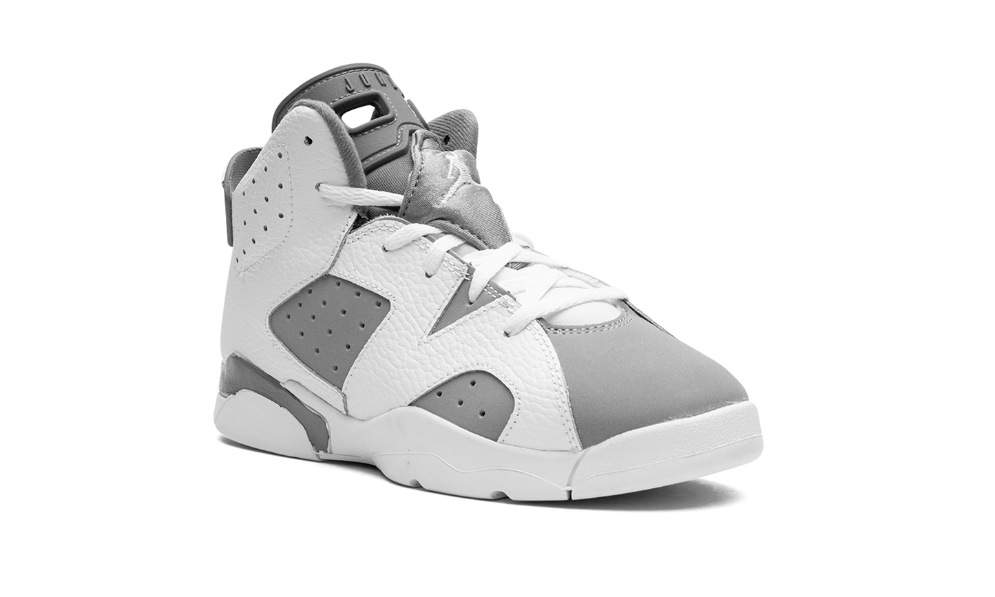 Air Jordan 6 PS Cool Grey DV3605 100