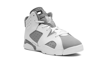 Air Jordan 6 PS Cool Grey DV3605 100