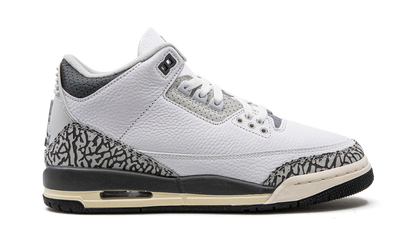 Air Jordan 3 GS Hide N Sneak DX6665 100