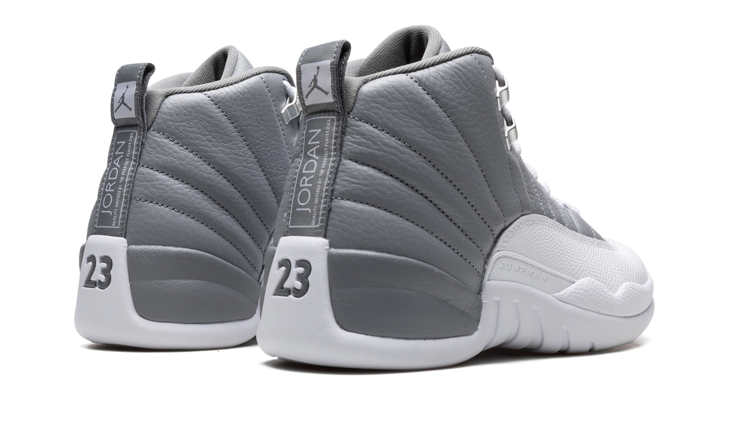 Air Jordan 12 Stealth CT8013 015