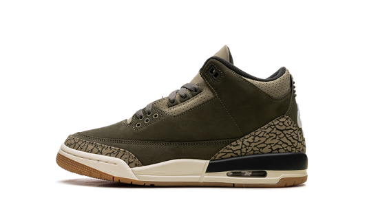 Air Jordan 3 GS Family Affair DM0967 202