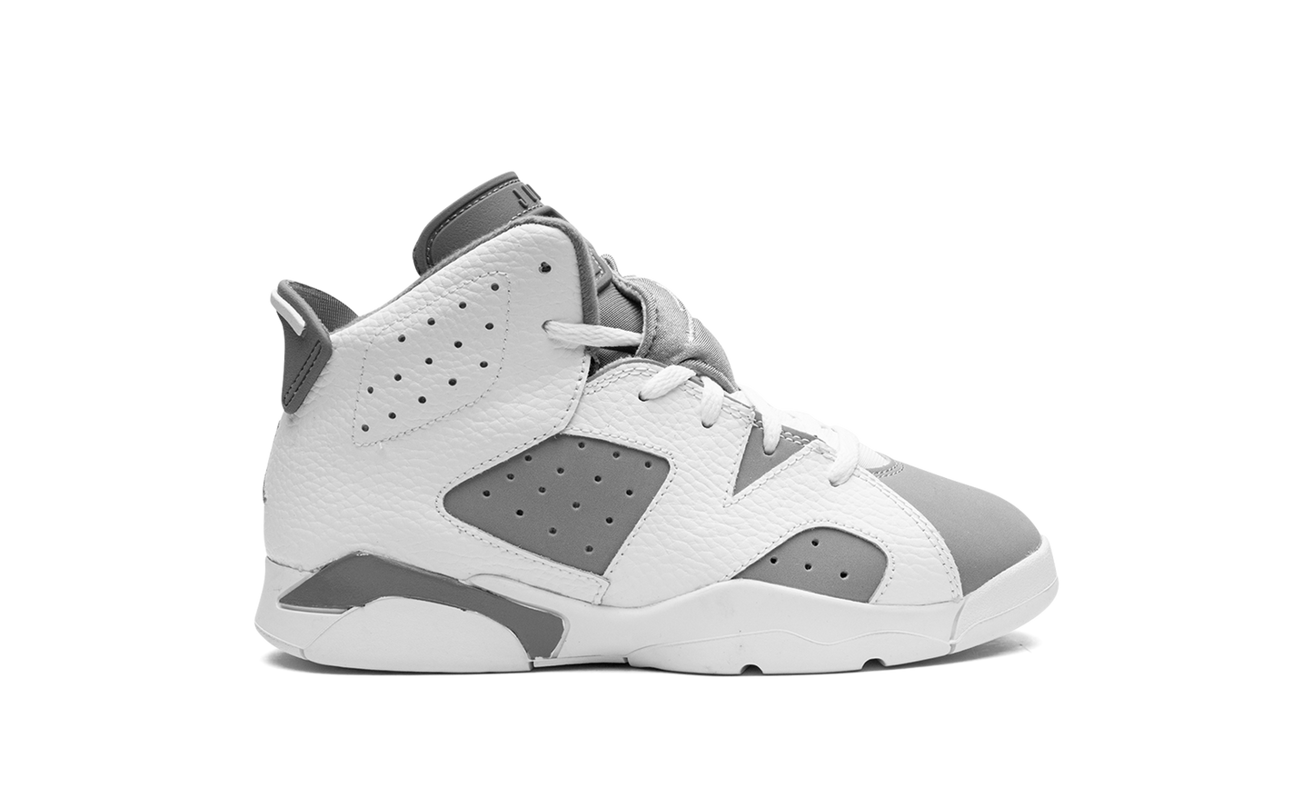 Air Jordan 6 PS Cool Grey DV3605 100