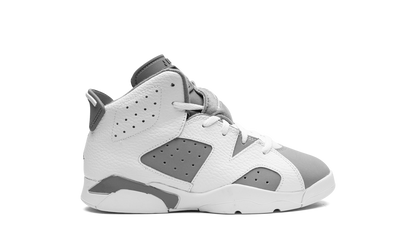Air Jordan 6 PS Cool Grey DV3605 100