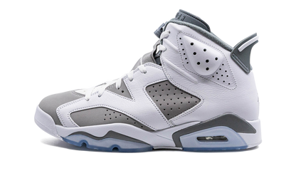 Air Jordan 6 Cool Grey CT8529 100