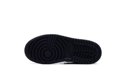 Air Jordan 1 Low PS Obsidian FQ5436 400