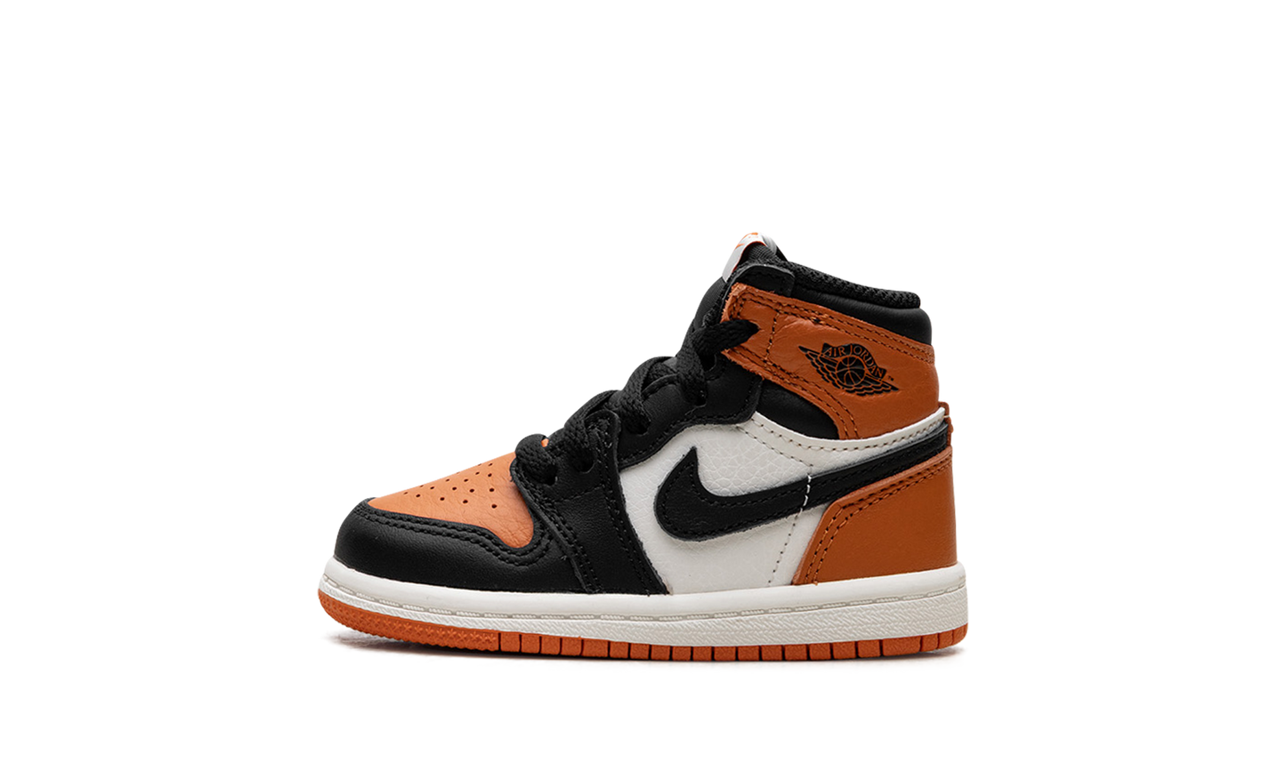 Air Jordan 1 Retro High OG TD Shattered Backboard FD1413 008