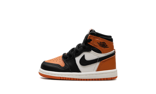 Air Jordan 1 Retro High OG TD Shattered Backboard FD1413 008