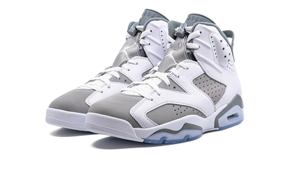 Air Jordan 6 Cool Grey CT8529 100