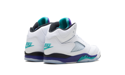 Air Jordan 5 Retro PS Grape HQ7979 100