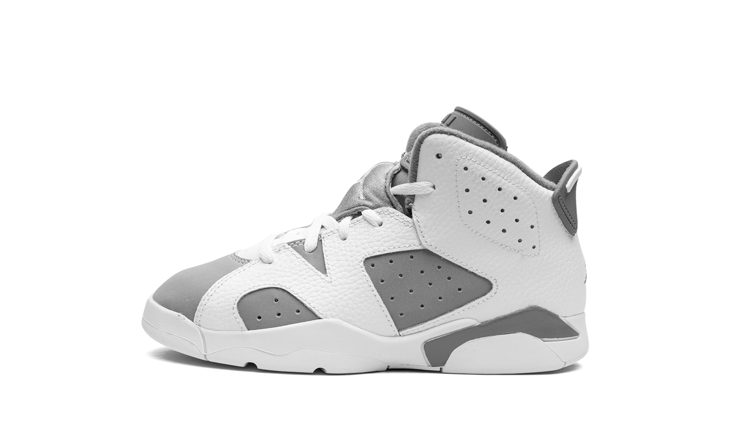 Air Jordan 6 PS Cool Grey DV3605 100