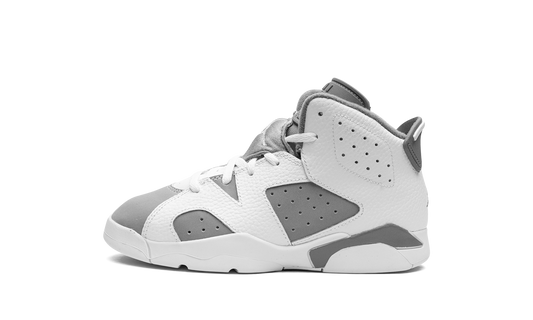 Air Jordan 6 PS Cool Grey DV3605 100