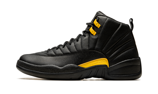 Air Jordan 12 Retro Black Taxi CT8013 071