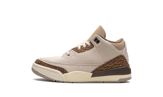 Air Jordan 3 PS Palomino DM0966 102