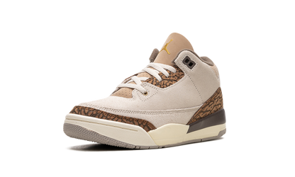 Air Jordan 3 PS Palomino DM0966 102