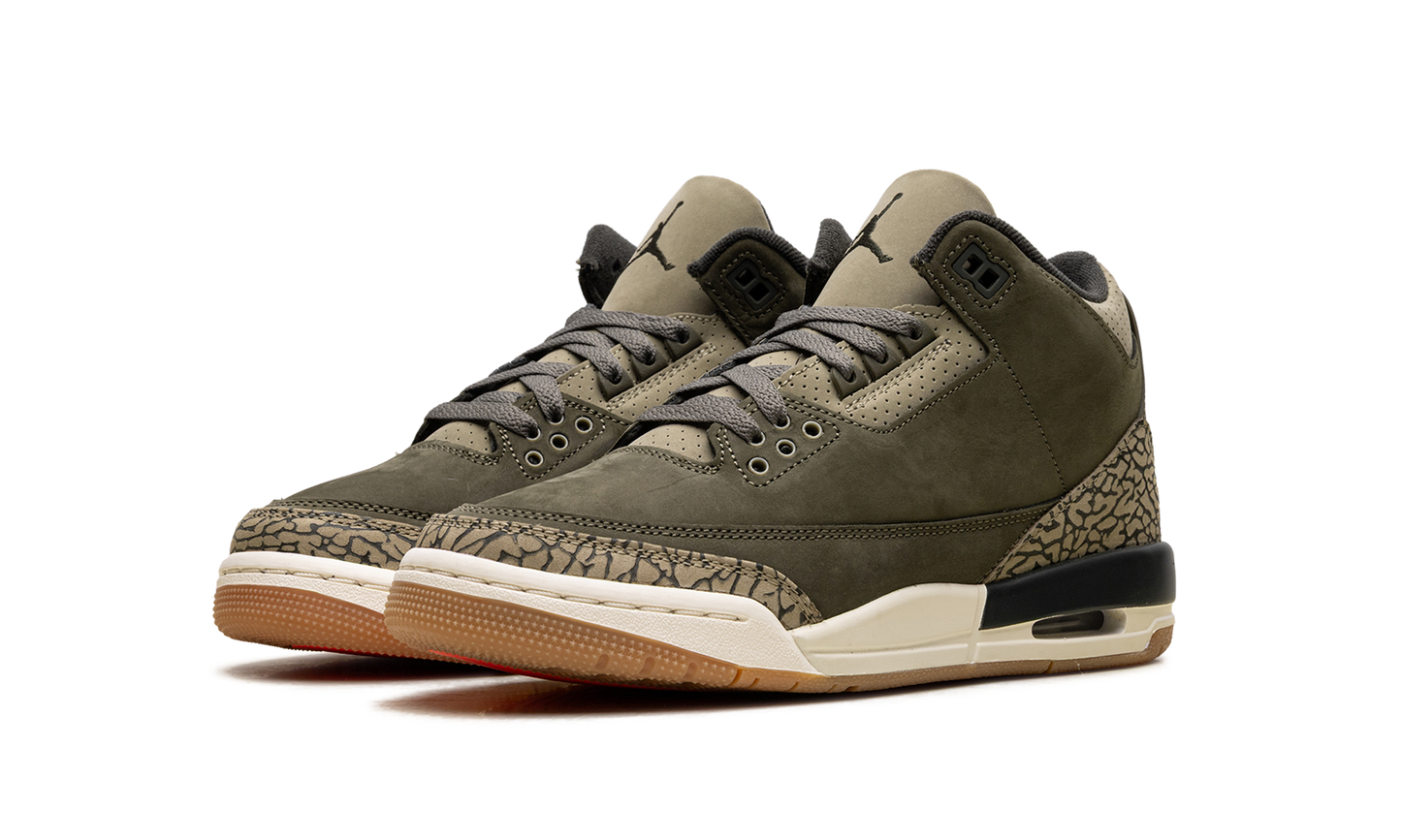 Air Jordan 3 GS Family Affair DM0967 202