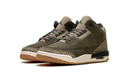 Air Jordan 3 GS Family Affair DM0967 202