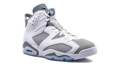 Air Jordan 6 Cool Grey CT8529 100