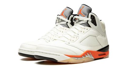 Air Jordan 5 Retro Shattered Backboard DC1060 100