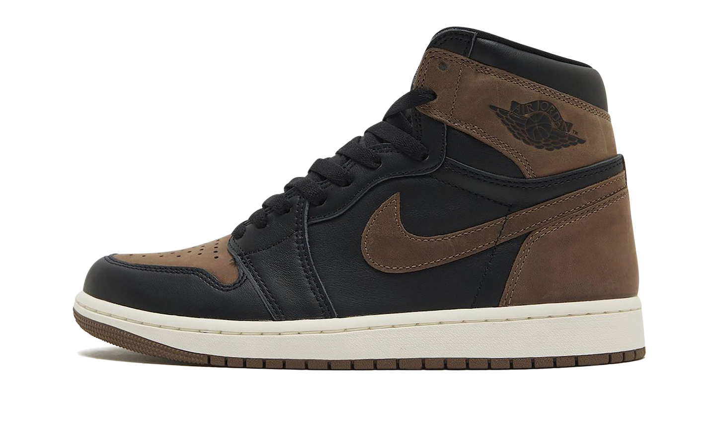 Air Jordan 1 Retro High OG Palomino DZ5485 020