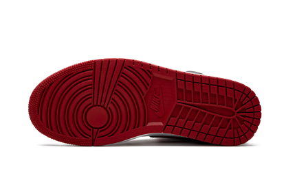 Air Jordan 1 High OG Bloodline / Meant To Fly 555088 062