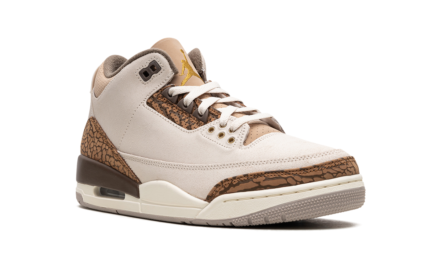 Air Jordan 3 Palomino CT8532 102