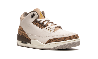 Air Jordan 3 Palomino CT8532 102