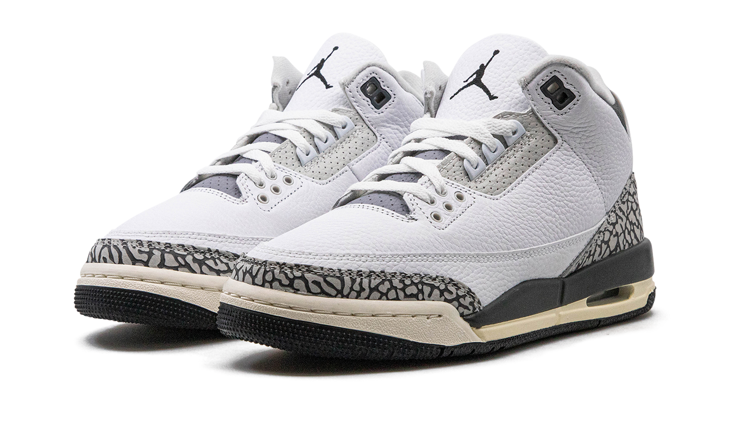 Air Jordan 3 GS Hide N Sneak DX6665 100