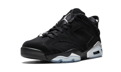 Air Jordan 6 Retro Low Metallic Silver 304401 003