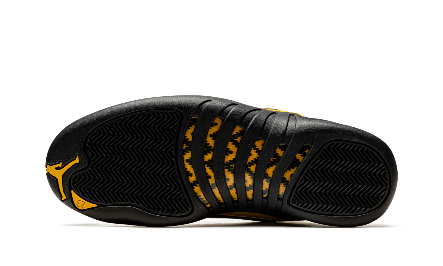 Air Jordan 12 Retro Black Taxi CT8013 071