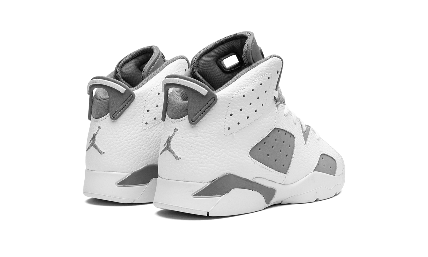 Air Jordan 6 PS Cool Grey DV3605 100
