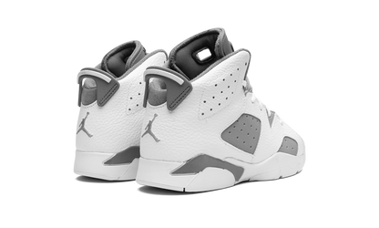 Air Jordan 6 PS Cool Grey DV3605 100
