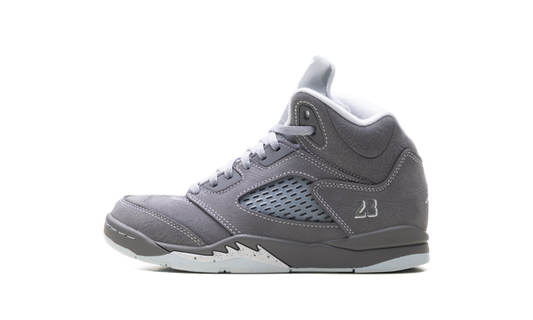 Air Jordan 5 PS Wolf Grey (2026) 440889 002
