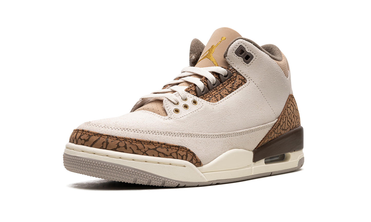 Air Jordan 3 Palomino CT8532 102