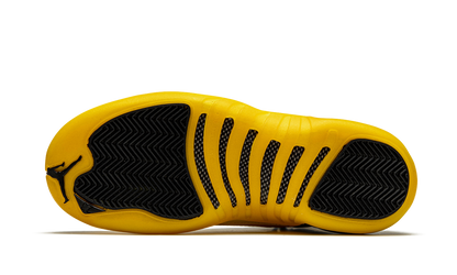 Air Jordan 12 Retro GS University Gold 153265 070