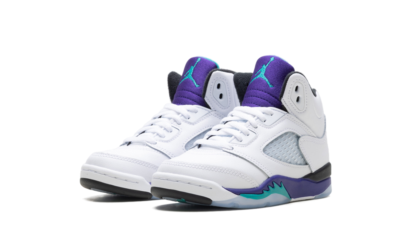 Air Jordan 5 Retro PS Grape HQ7979 100