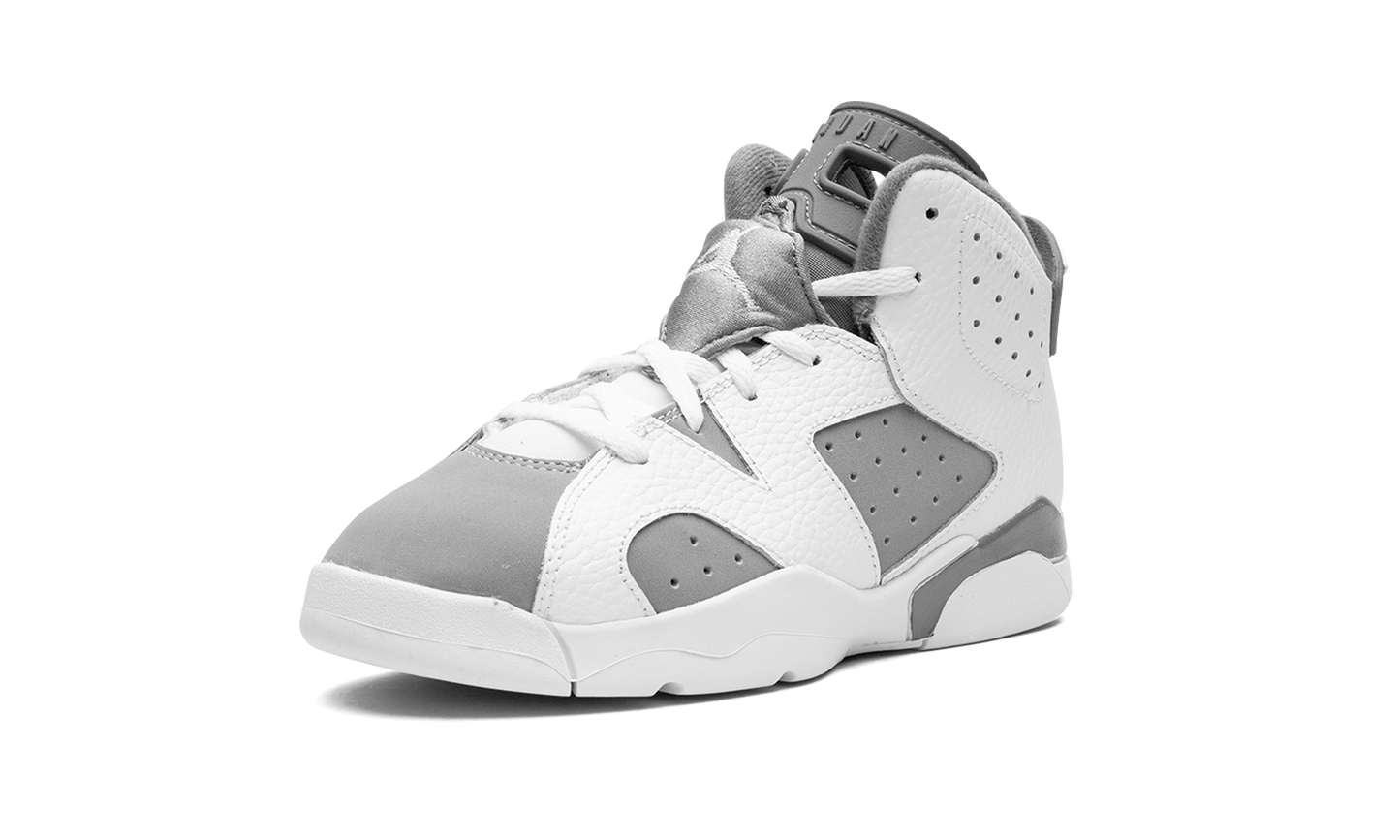 Air Jordan 6 PS Cool Grey DV3605 100