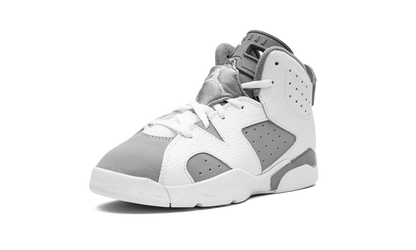 Air Jordan 6 PS Cool Grey DV3605 100