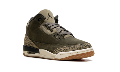 Air Jordan 3 GS Family Affair DM0967 202